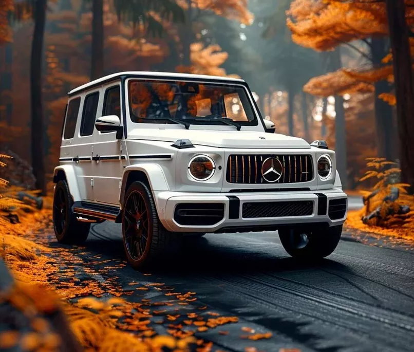 For Mercedes Benz